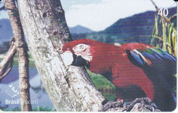 TARJETA DE BRASIL DE UN  GUACAMAYO (PARROT) - Pappagalli