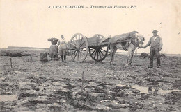 Chatelaillon         17            Transport Des Huitres. Attelage Cheval     (voir Scan) - Châtelaillon-Plage