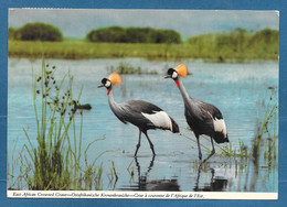 LIBERIA EAST AFRICAN CROWNED CRANE N°A625 - Liberia