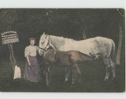 80 BEAUVAL ... Carte Publicitaire De La Maison Carton 1916 (angles Abimés) Cheval - Beauval