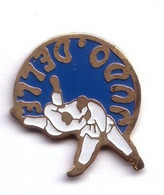 C80 Pin's JUDO DELLE Territoire De Belfort Achat Immédiat - Judo