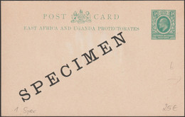 Est Africain Et Ouganda Vers 1902. Entier Postal, Carte Surchargée Specimen, Edouard / Edward VII - British East Africa