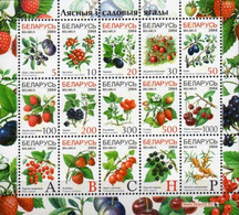 Belarus 2004, Berries, MNH Sheetlet - Bielorussia