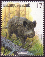 Delcampe - BELGIQUE - Sanglier ( Sus Scrorfa) - Wild