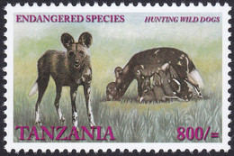 TANZANIE, 2001, Animaux (faune) | Chiens | Mammifères | Lycaon - Chiens