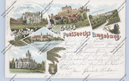 0-6840 PÖSSNECK, Lithographie, Gruss Aus Der Umgebung, 5 Burgen Und Schlösser, Wildschweinkopf, Auerhahn, 1898 - Poessneck