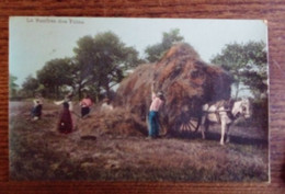 Carte Postale Ancienne - Agriculture - La Rentrée Des Foins - Cultures