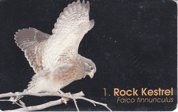 TARJETA DE NAMIBIA DE UN ROCK KESTREL  (BIRD-PAJARO) CERNICALO - Namibia