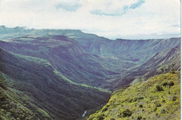 1250 - Rhodesien - Rhodesia , Pungwe Gorge , Eastern Districts - Gelaufen 1977 - Zimbabwe