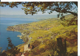 LA TOUR DE MARSENS   ( SUISSE )      LE LAVAUX , CULLY ET RIEX - Cully