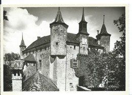 LE CHATEAU D ' ORON    ( SUISSE ) - Oron