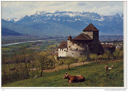 Schloss VADUZ - Residenz Des Regierenden Fürsten Von Liechtenstein - Rheintal, Kreuzberge - Liechtenstein