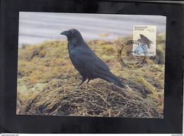 GROENLAND, CARTE MAXIMUM - BIRDS-Corvus Corax + - Moineaux