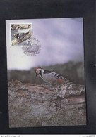 SWEDEN, CARTE MAXIMUM - BIRDS-Dendrocopos Leucotos + - Pauwen