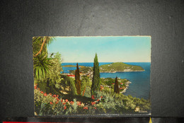 CP, 06,  LE CAP FERRAT DANS SON DECOR MEDITERRANEEN. - Saint-Jean-Cap-Ferrat