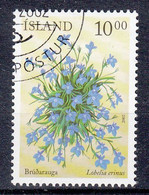 IJSLAND - Michel - 2002 - Nr 1017 - Gest/Obl/Us - Used Stamps