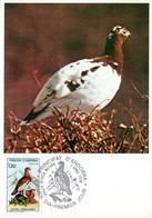 " PERDRIX BLANCHE " Sur Carte Maximum D'ANDORRE De 1979 N° YT 275. Parfait état CM - Perdiz Pardilla & Colín