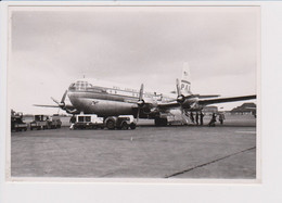 Vintage Photo Panam P.A.A Boeing Stratocruiser Aircraft @ Schiphol Airport - 1919-1938: Entre Guerres