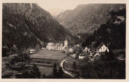 AK -Steiermark - Wildalpen - Ortsansicht - 1928 - Liezen