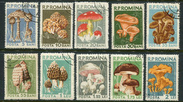 ROMANIA 1958 Fungi Used.  Michel 1721-30 - Gebraucht