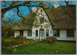 Friesland - Friesenhaus Im Frühling 2 - Nordfriesland