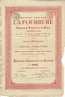 Titre Ancien - - Société Anonyme La Fourrure - Tannerie & Teinturerie De Peaux -Titre De 1895 - - Tessili