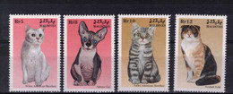 Maldives  Timbres Neufs ** De 1998   ( Ref 1949  ) Animaux - Chats - Maldives (1965-...)