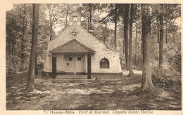 Hamme - Mille : Forêt De Meerdael / Chapelle Sainte Thérèse 1950 - Beauvechain