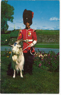CANADA - La Mascotte «Baptiste», Royal 22è Régiment à La Citadelle, Québec,  (F502) - Québec - La Citadelle