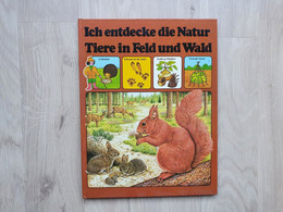 Jugendsachbuch (1970er) - Ich Entdecke Die Natur - Feld Und Wald - Sapere