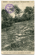 CPA - Carte Postale - Belgique - Roisin - Caillou Qui Bique - La Roche Pelée - 1911 (DG15058) - Honnelles