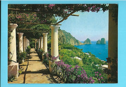 ITALIE---CAPRI--colonnade Et Treillage---voir 2 Scans - Carpi