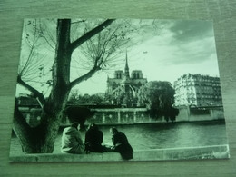 Paris - Notre-Dame - Quai D'Orléans - Editions Antonio Carrara - Année 2013 - - Notre Dame De Paris