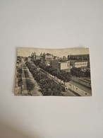 Delcampe - ITALIA-EMILIA ROMAGNA-FERRARA-VIALE CAVOUR-FG1953 - Ferrara