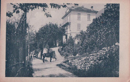 Brione-Locarno TI, Pension Della Valle, Cavalier Devant L'Hôtel (781) - Brione Sopra Minusio