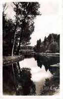 Canaux - Péniches : 89 : Auxerre  : Le Canal ( Cpsm P.F. ) - Chiatte, Barconi