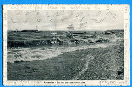 COVn1638, Auvernier, Le Lac De Neuchâtel Par Forte Bise, Pli Non Visible, Circulée 1918 - Auvernier