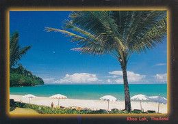 1587 - Thailand - Khao Lak , Strand , Palme - Gelaufen - Thailand