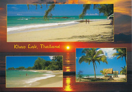 1592 - Thailand - Khao Lak , Strand , Palme - Gelaufen - Thailand