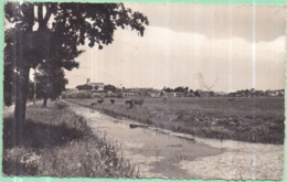 Dépt 85 - CHAILLÉ-LES-MARAIS - Vue Des Marais - CPSM - Chaille Les Marais