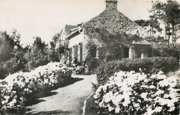 22 - PLOUGRESCANT - Villa 1950 - Plougrescant