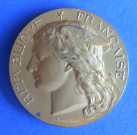 Médaille En Argent - République Française - Ministère De L'Agriculture - Enseignement Agricole - Année 1899 - Professionals / Firms