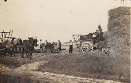 Carte Photo - Scène Rentrée Des Foins, Battage, Chevaux, Belle Animation - Cultures