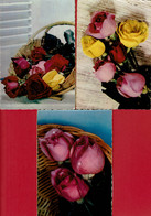 3 Cartes Postales Neuves - Roses - Editions M.D. Paris - Fleurs