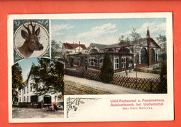 ZBX-18 Wolfenbüttel Waldrestaurant Antoinette Ruh, Hirsch.  Gelaufen 1914 Nach Schweiz  Verlag Herbst - Wolfenbuettel