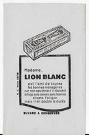 LION BLANC - L