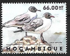 Mozambique - MNH ** 2012 :     Laughing Gull  -  Leucophaeus Atricilla - Meeuwen