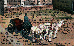 Attelage Voiture à Chevaux Russie: Types Russes 1914 - Troïka - Типы русской тройки - Other & Unclassified
