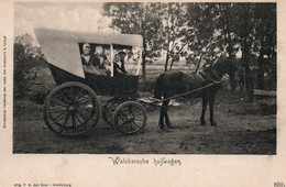 Attelage Néerlandais - Walcherse Huifwagen - B. Den Boer, Middelburg - Carte N° 859 Non Circulée - Middelburg