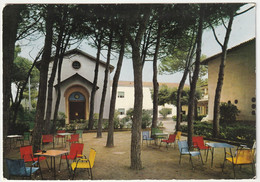 RONCHI DI MASSA - LA ROMANINA - VIAGG. 1971 -53323- - Massa